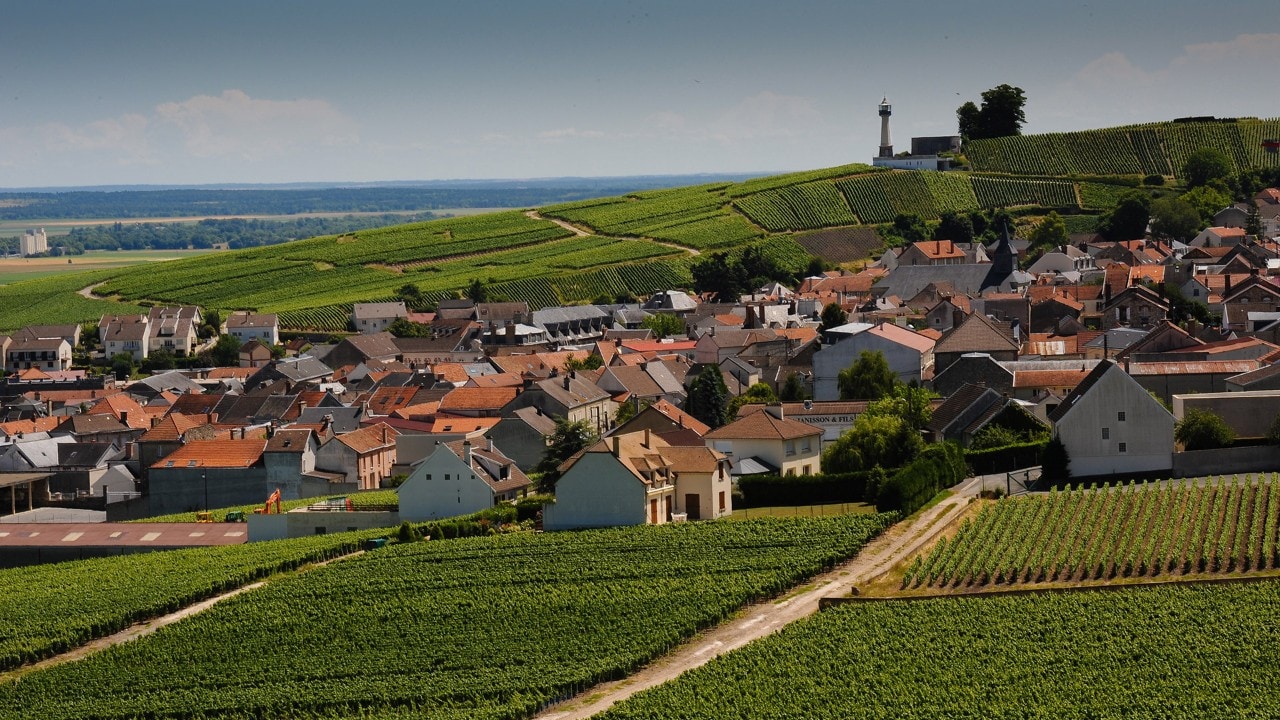 Verzenay, France