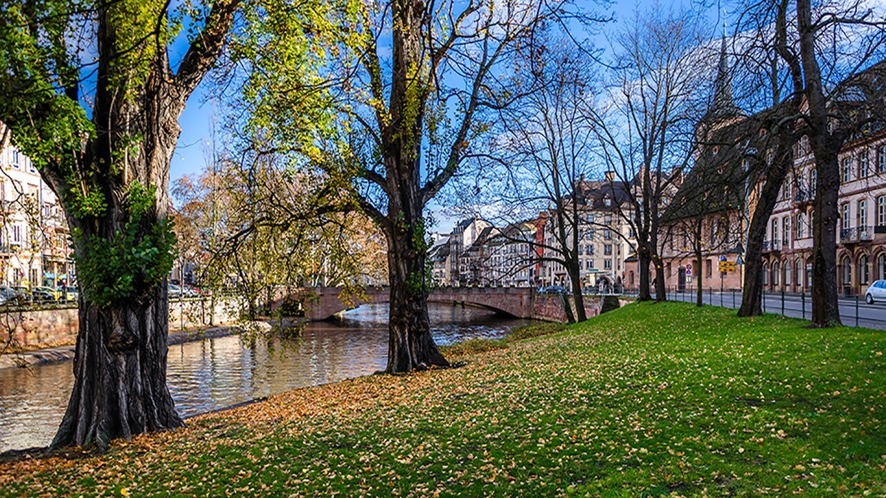 Autumn leaves in Strasbourg city center, France